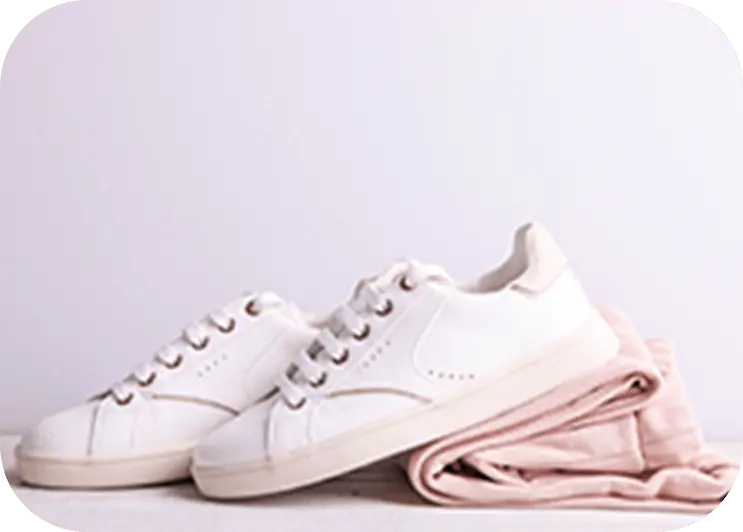 PFCバランスを基にした食事のイメージ画像